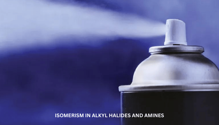 Lesson 12: Isomerism in Alkyl Halides and Amines